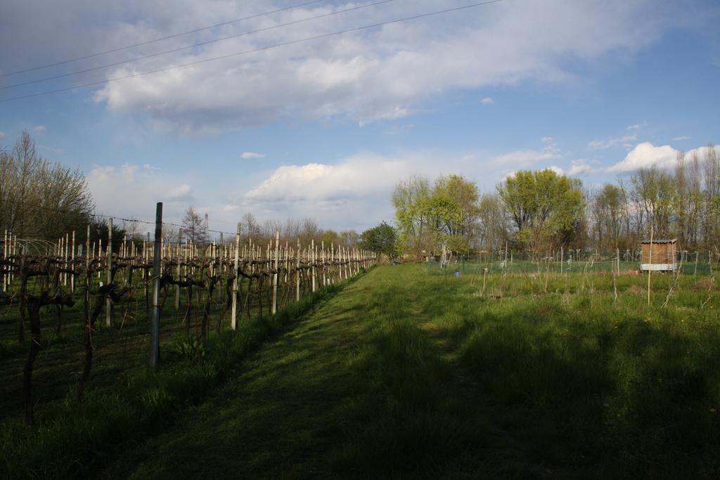 Bed and Breakfast I Guardiani Carlino Екстер'єр фото